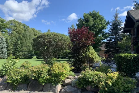 Front bushes