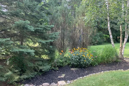 Side garden